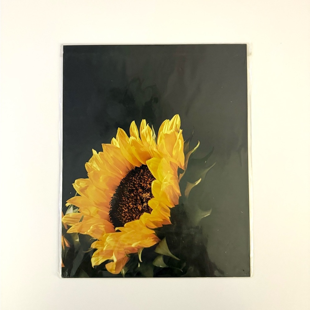 8x10 Sunflower Print